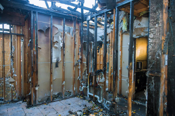 Professional Fire Damage Assessment technician working in Cowarts, AL